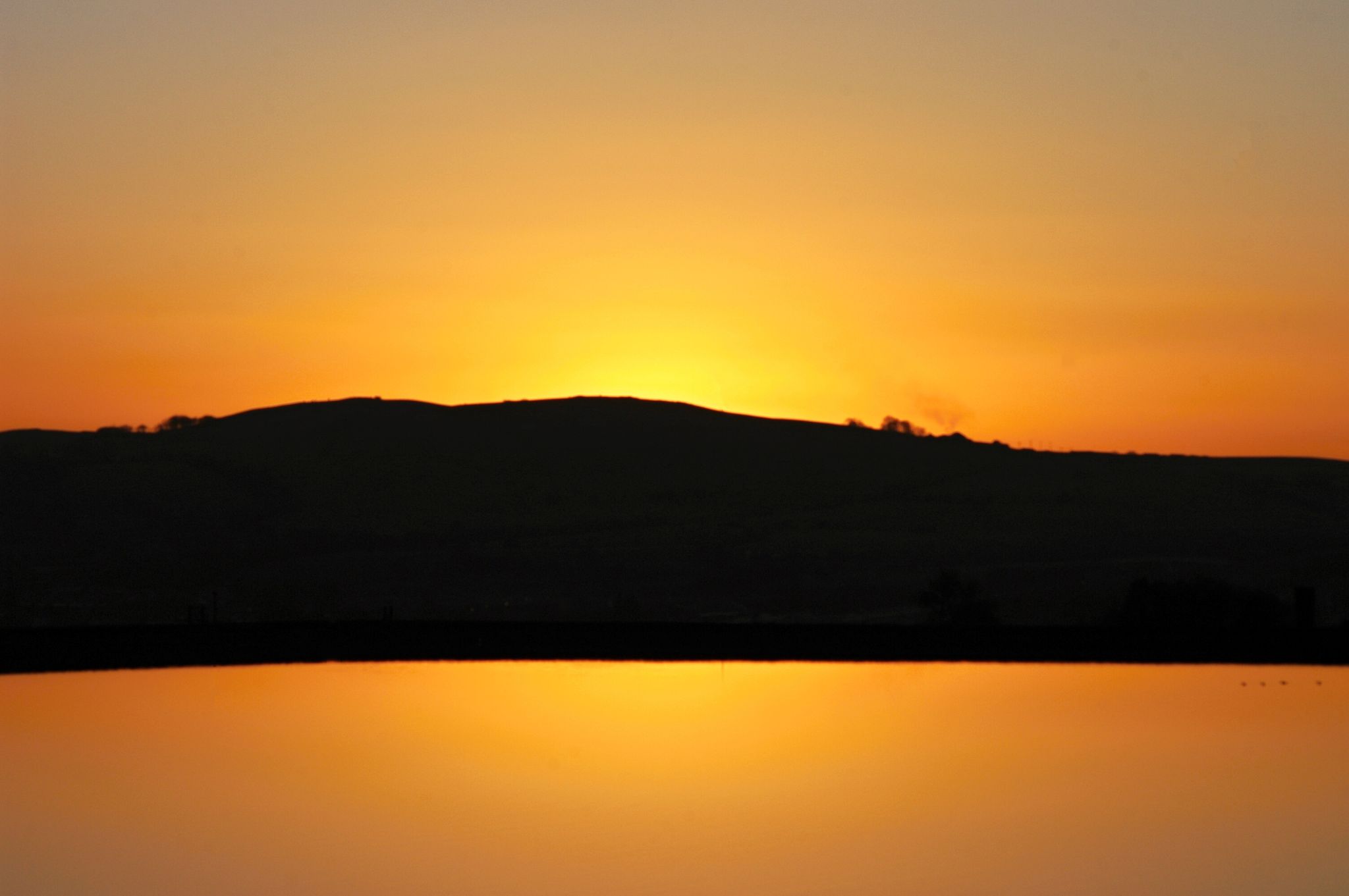 Stimulating Pix 2020